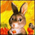 1551.gif
