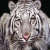 924.gif