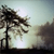 1451.gif