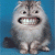 1141.gif