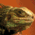 328.gif