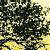 1478.gif