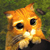 1726.gif