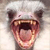 1433.gif