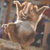1397.gif